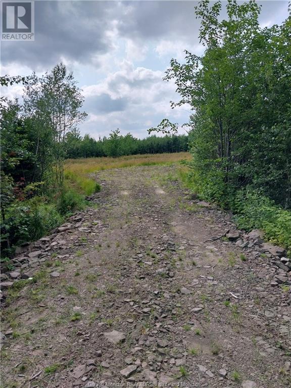 Lot Route 515, Saint-Paul, New Brunswick  E4T 3W5 - Photo 3 - M157060
