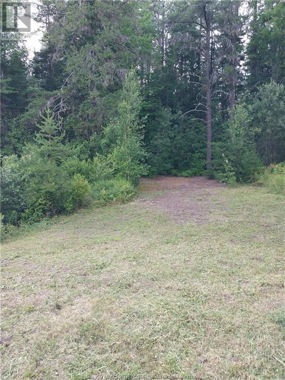 Lot Route 515, Saint-Paul, New Brunswick  E4T 3W5 - Photo 6 - M157060