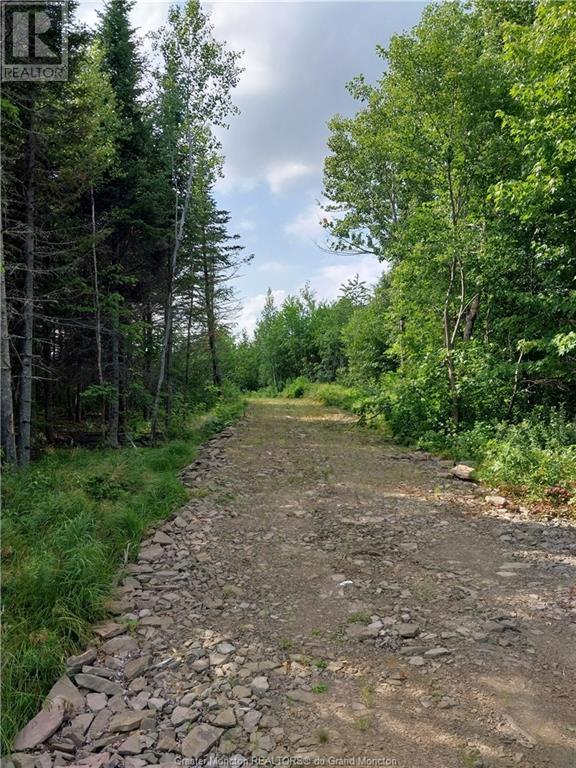 Lot Route 515, Saint-Paul, New Brunswick  E4T 3W5 - Photo 5 - M157060
