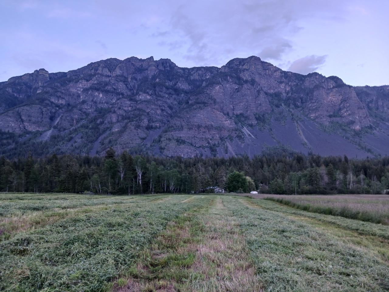 Peter Martin, Creston real estate House, Vacant Land, Single Family in