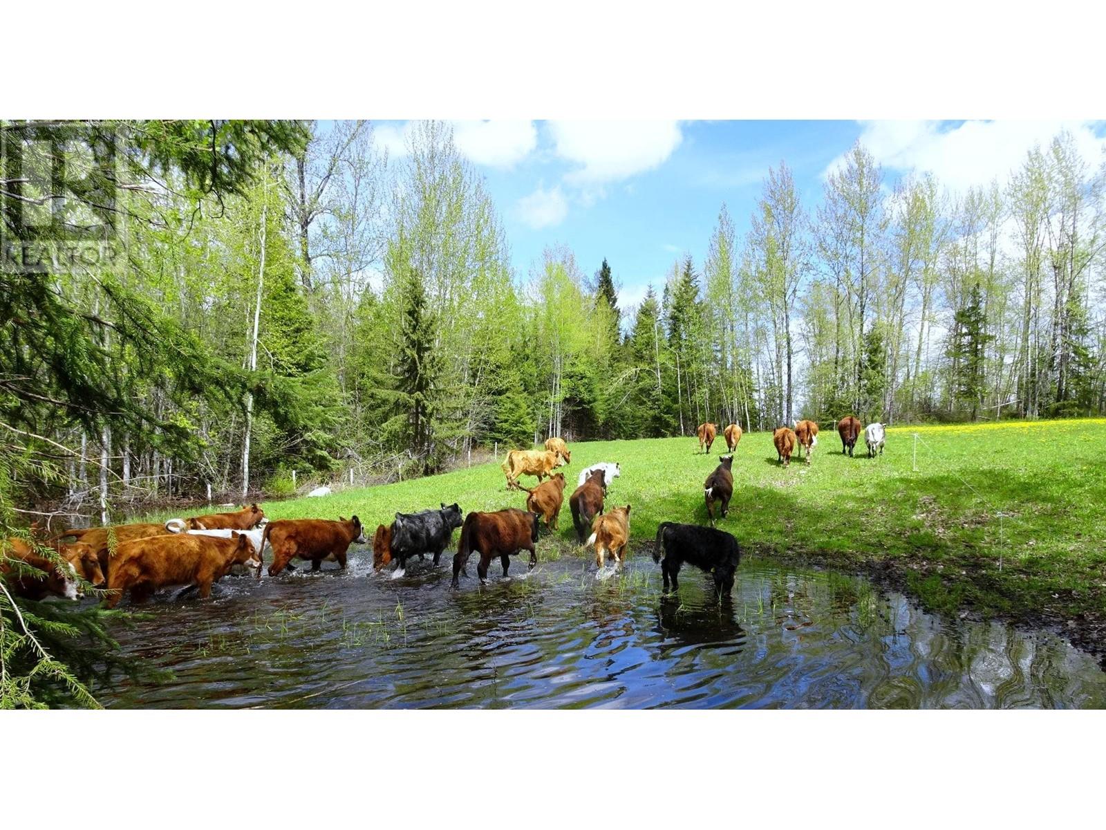 Dl4905 Day Road, Horsefly, British Columbia  V0L 1L0 - Photo 2 - R2844640