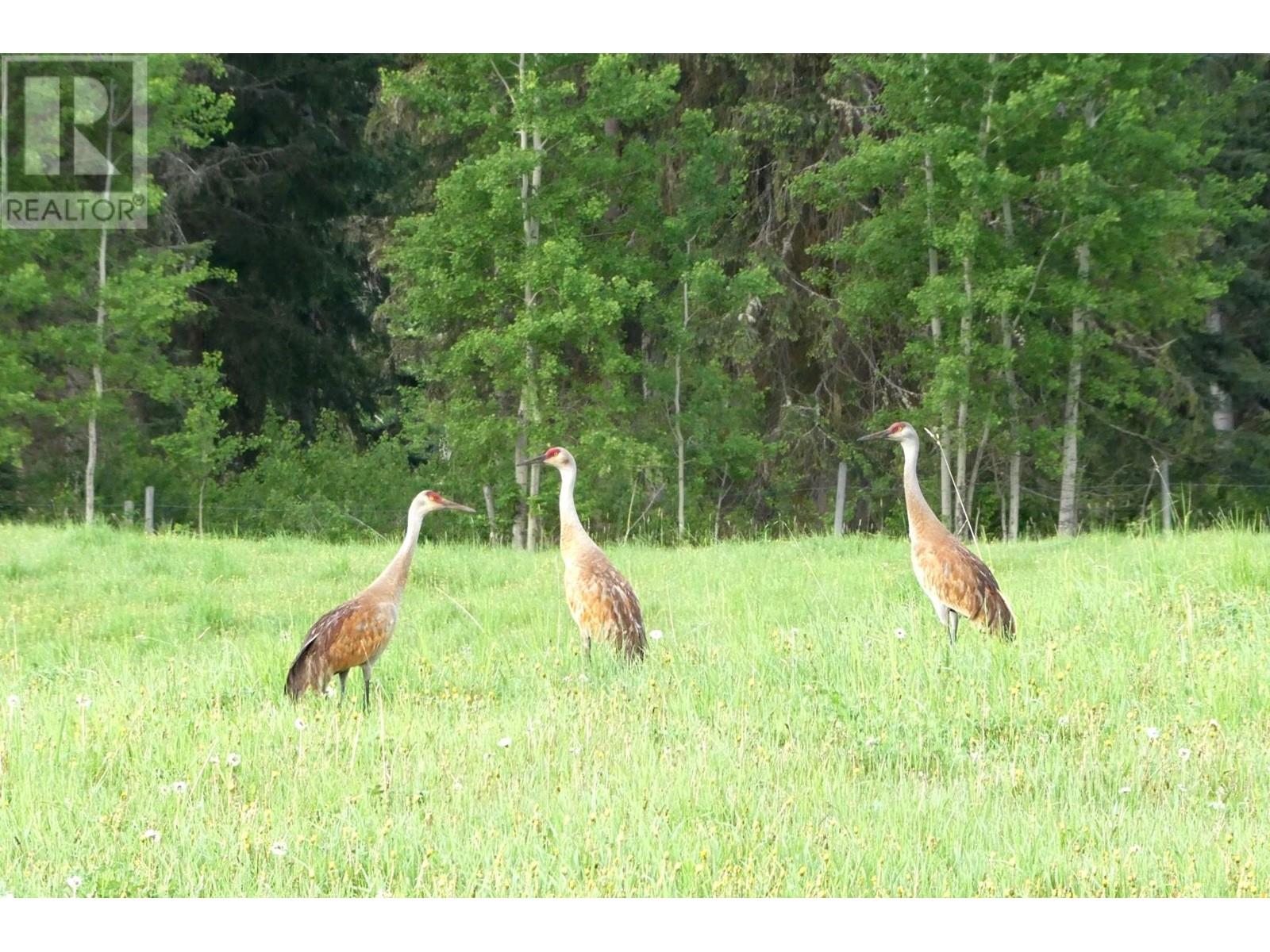 Dl4905 Day Road, Horsefly, British Columbia  V0L 1L0 - Photo 14 - R2844640