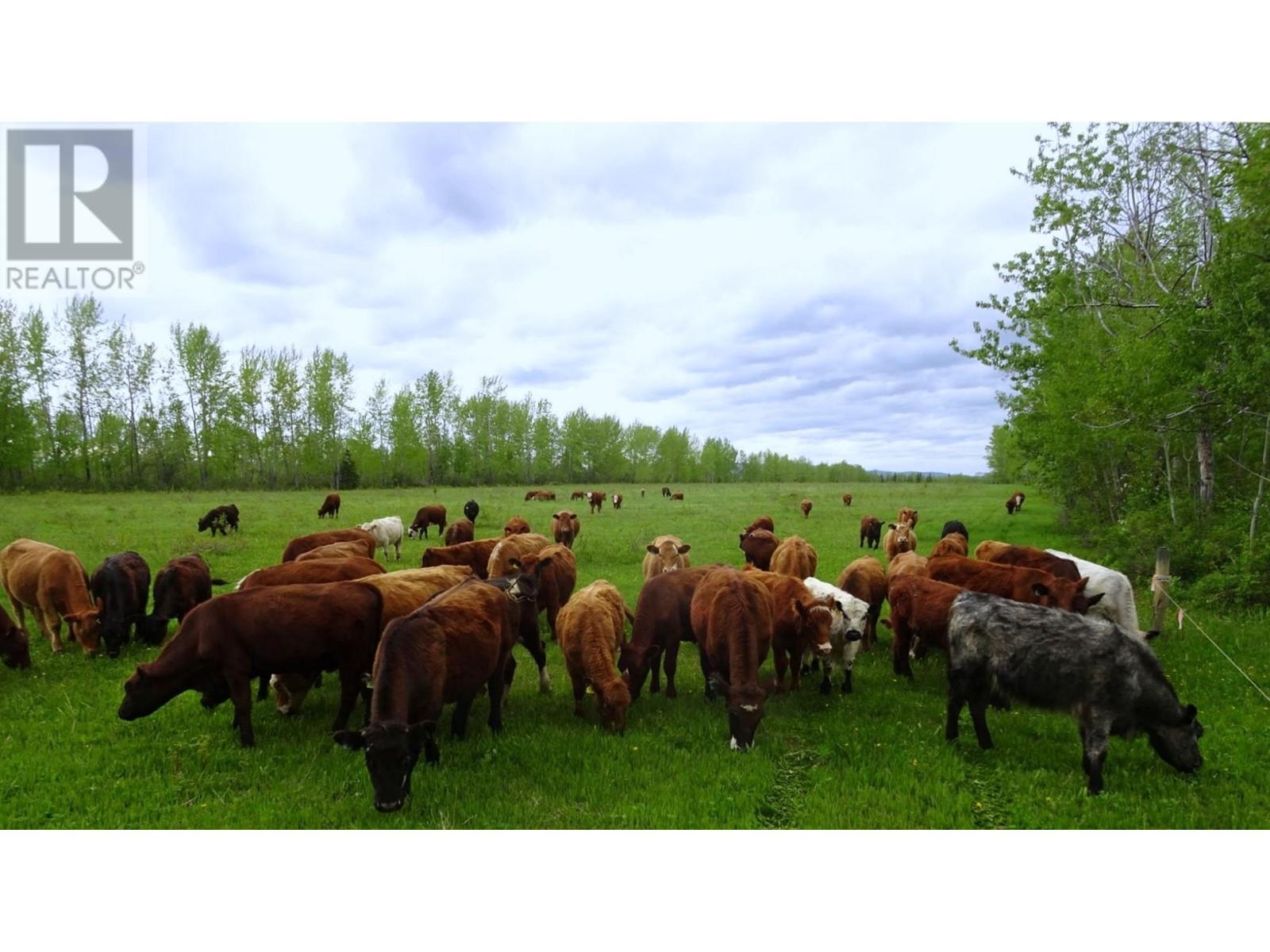 Dl4905 Day Road, Horsefly, British Columbia  V0L 1L0 - Photo 5 - R2844640