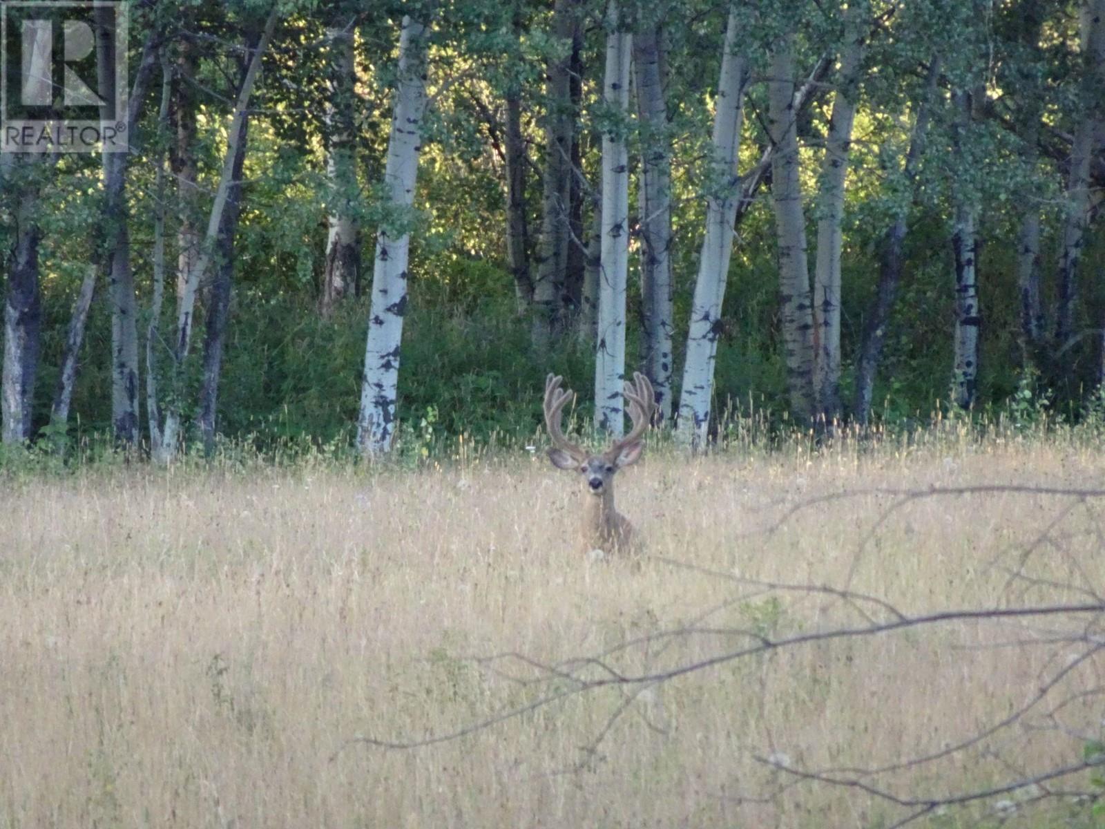 Dl4905 Day Road, Horsefly, British Columbia  V0L 1L0 - Photo 12 - R2844640