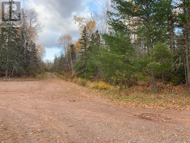 Lot 14 Black Lake Road, Black Lake, Nova Scotia  B0M 1X0 - Photo 12 - 202221245