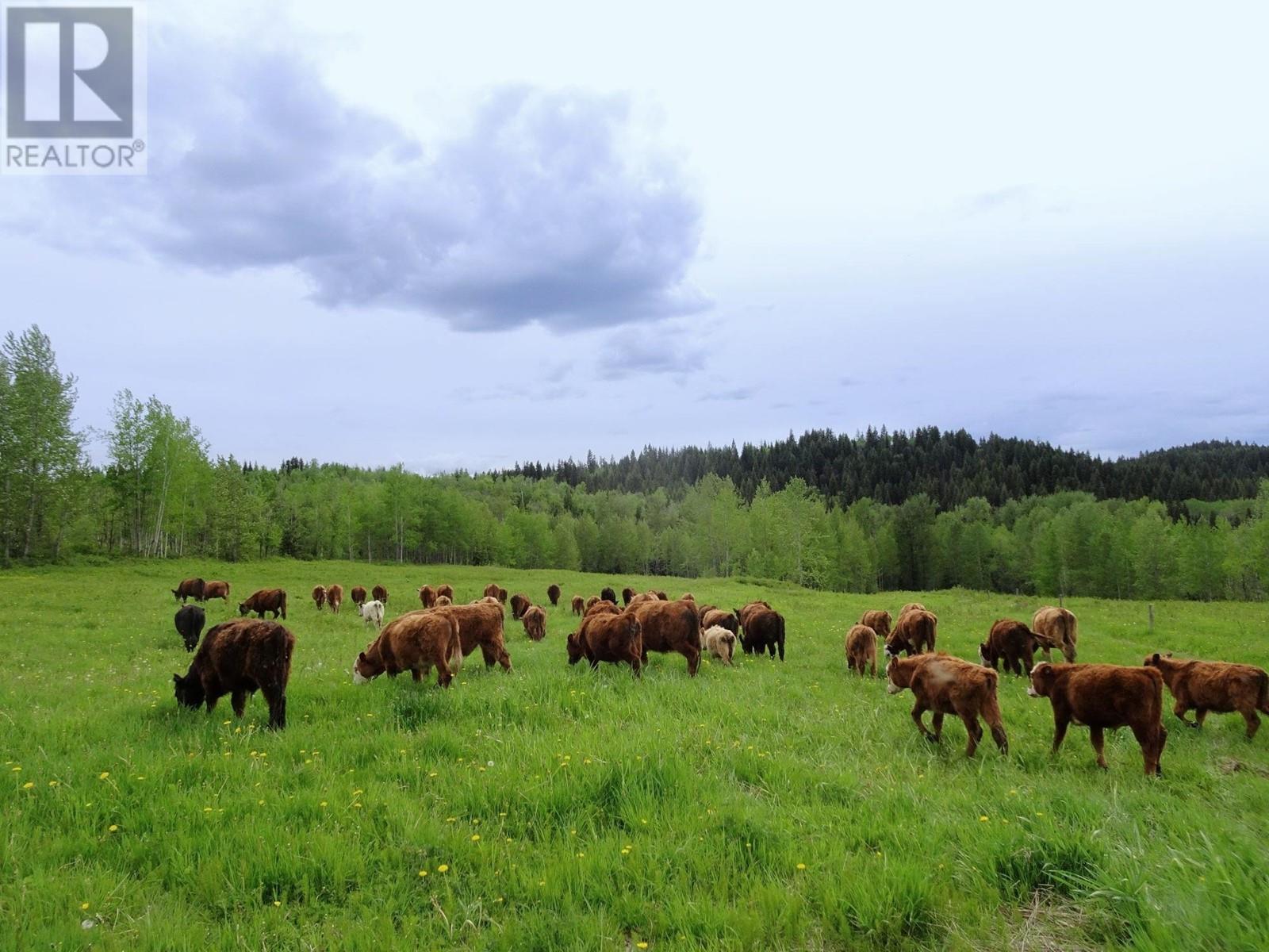 DL5277 DAY ROAD, horsefly, British Columbia