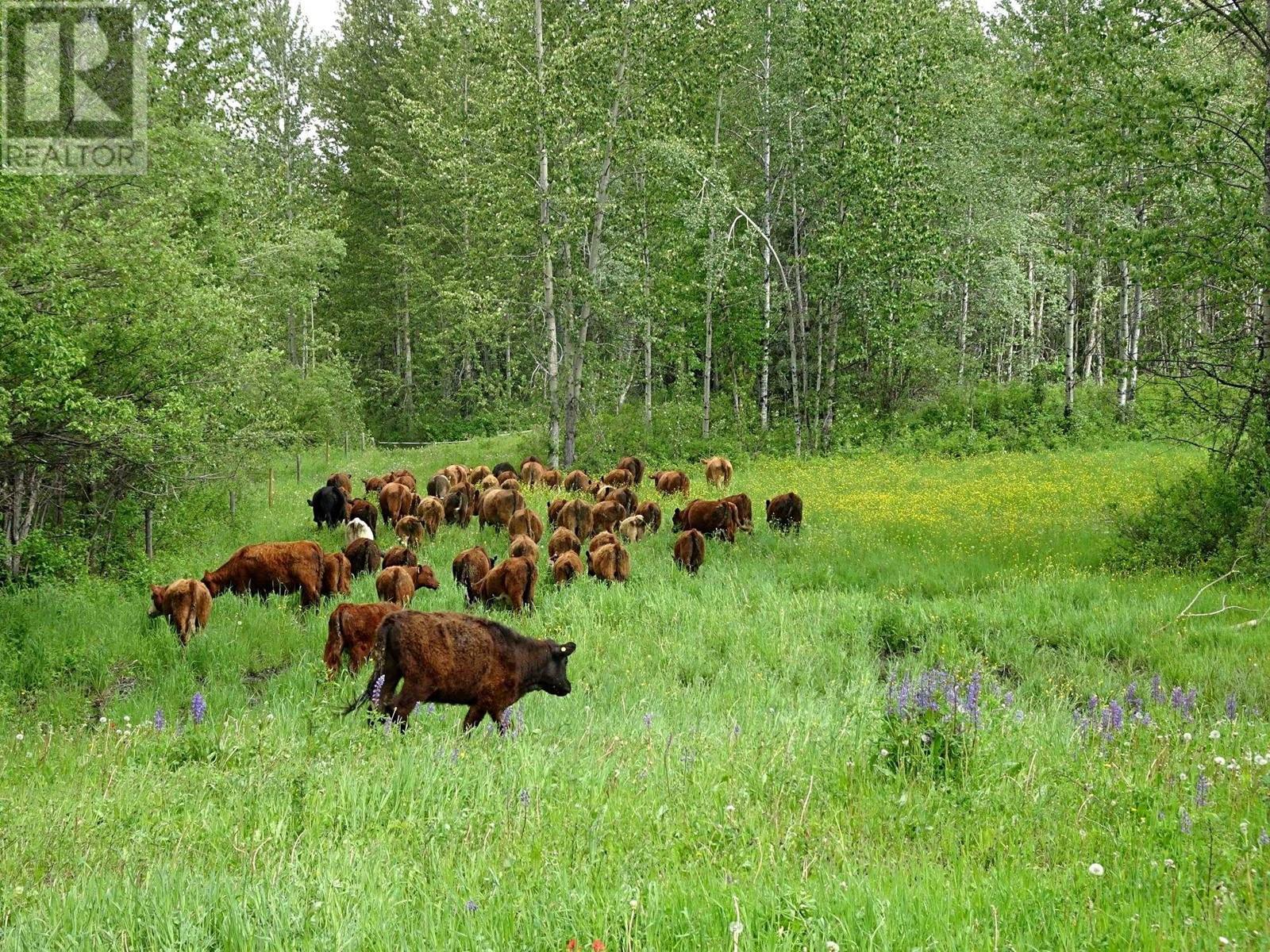 Dl5277 Day Road, Horsefly, British Columbia  V0L 1L0 - Photo 2 - R2844654