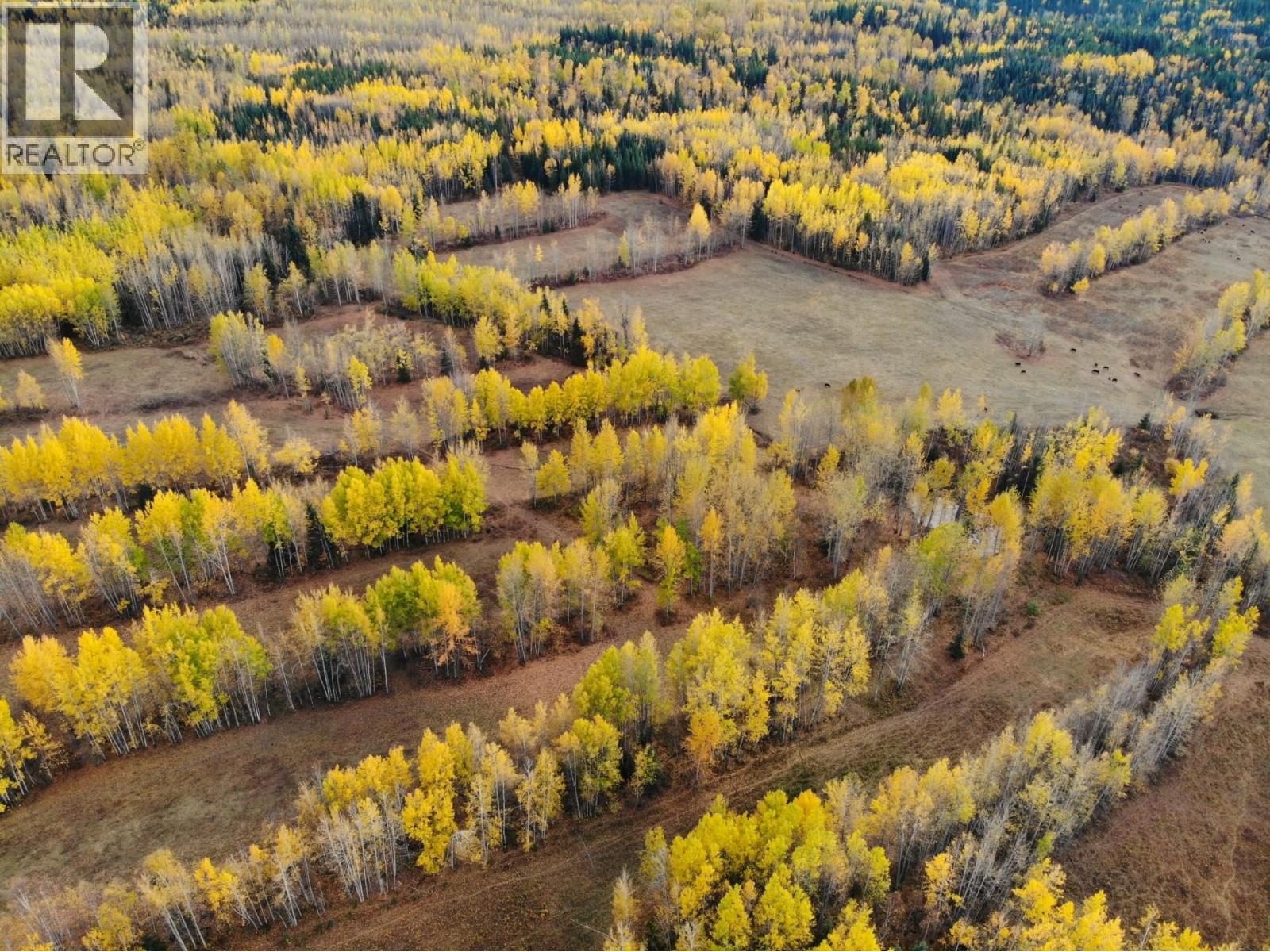 Dl5277 Day Road, Williams Lake, British Columbia  V0L 1L0 - Photo 11 - C8057102