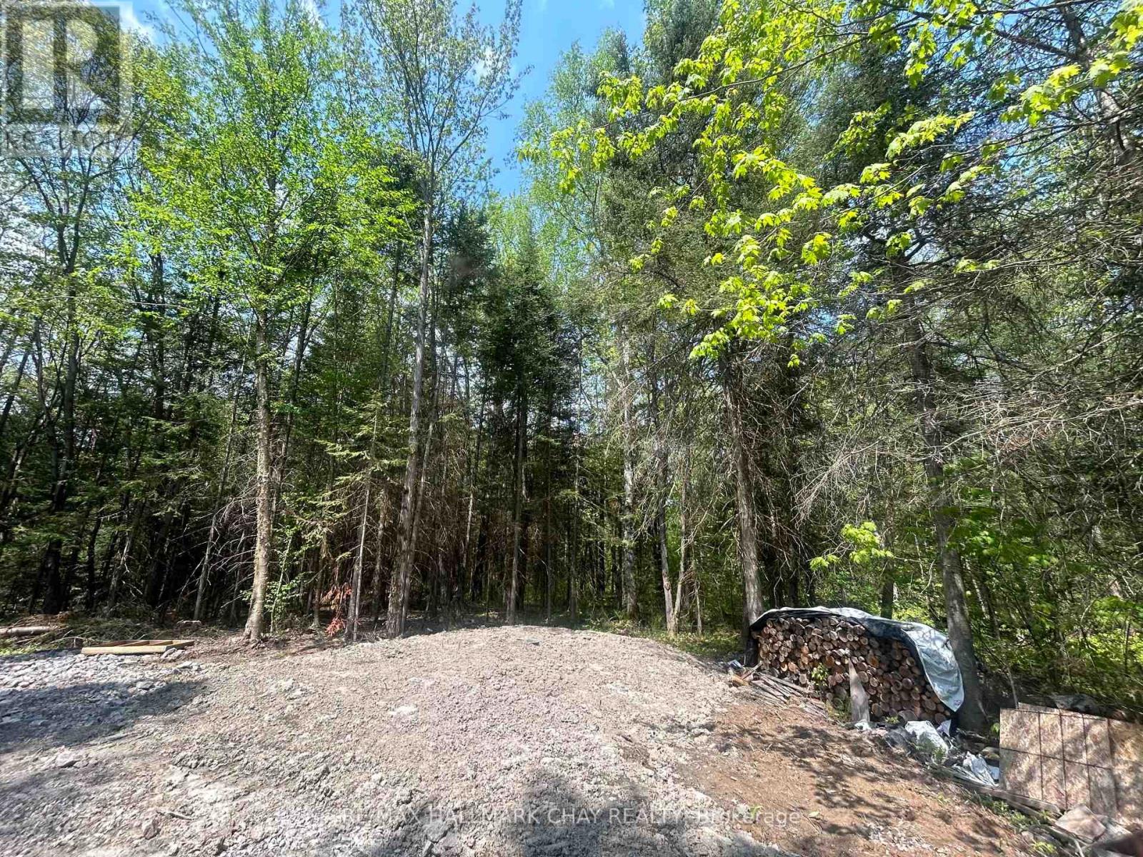 193 North Channel Camp Rd, French River, Ontario  P0M 2N0 - Photo 13 - X7403098