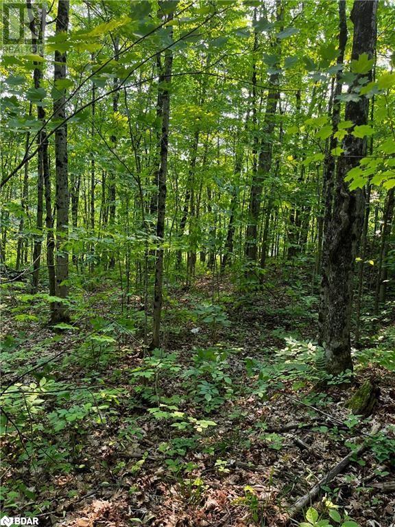 1796 Ellis Road, Coldwater, Ontario  L0K 1E0 - Photo 1 - 40534077