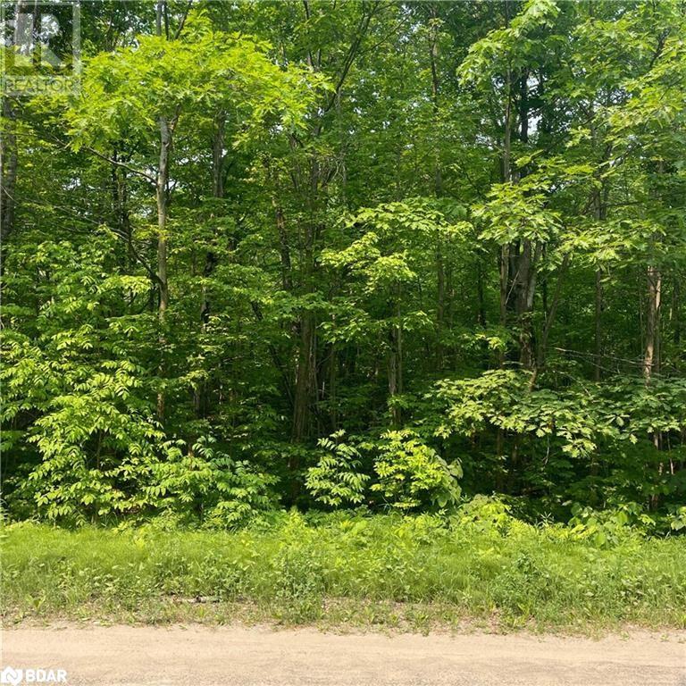 1796 Ellis Road, Coldwater, Ontario  L0K 1E0 - Photo 2 - 40534077