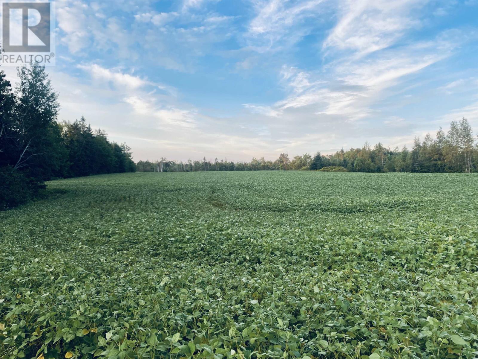 Lot Seven Mile Road, Route 4, Cardross, Prince Edward Island  C0A 1G0 - Photo 1 - 202318616