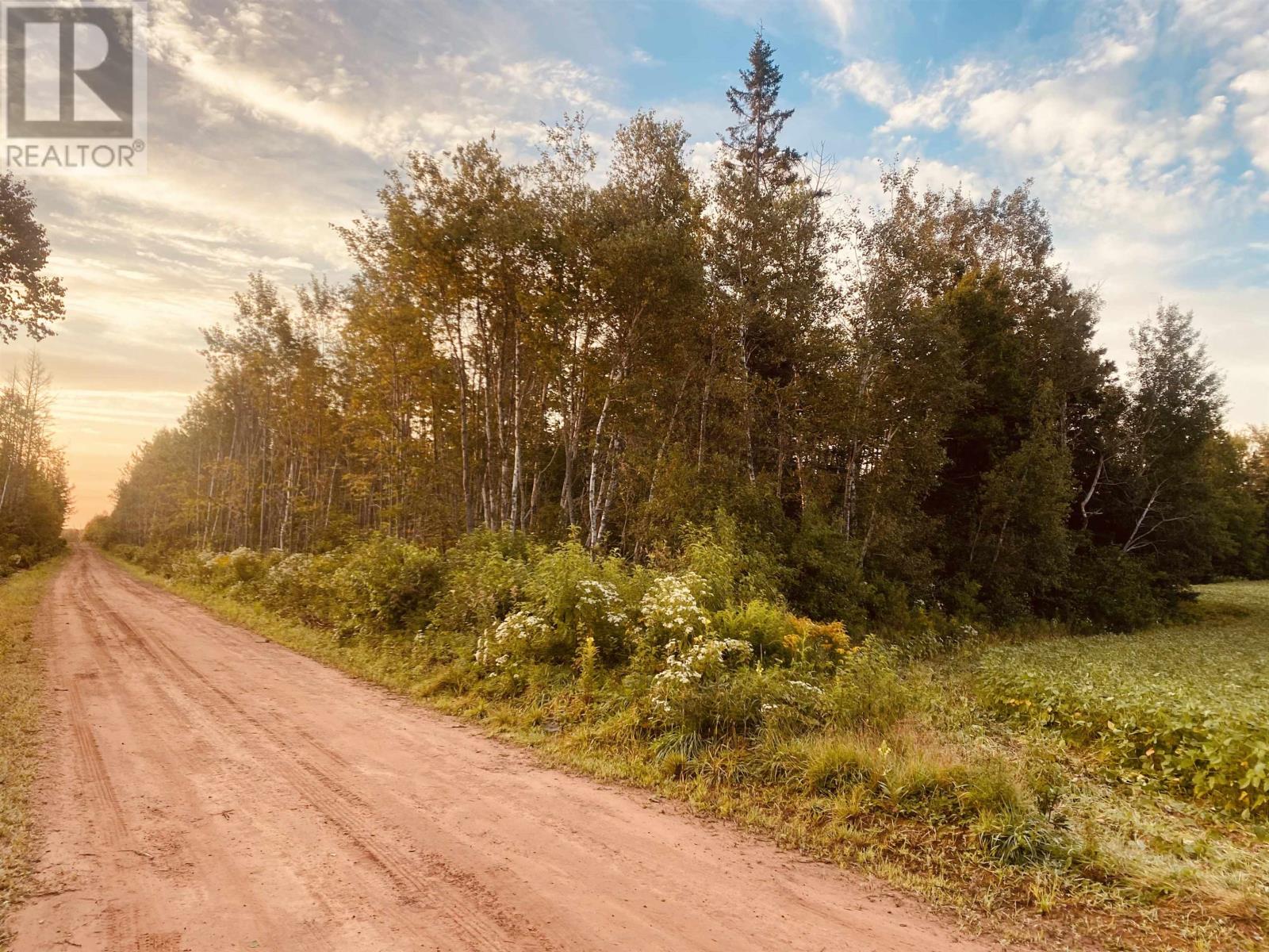 Lot Seven Mile Road, Route 4, Cardross, Prince Edward Island  C0A 1G0 - Photo 16 - 202318616