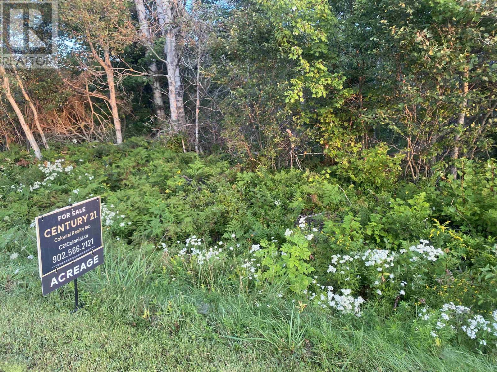 Lot Seven Mile Road, Route 4, Cardross, Prince Edward Island  C0A 1G0 - Photo 19 - 202318616