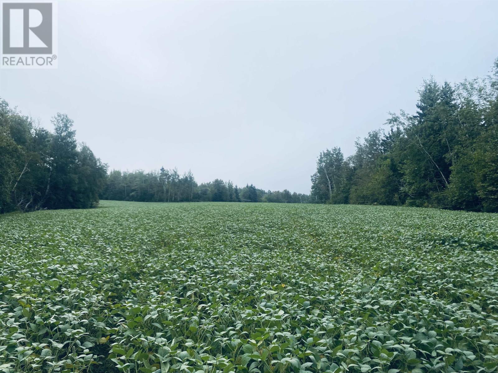 Lot Seven Mile Road, Route 4, Cardross, Prince Edward Island  C0A 1G0 - Photo 25 - 202318616