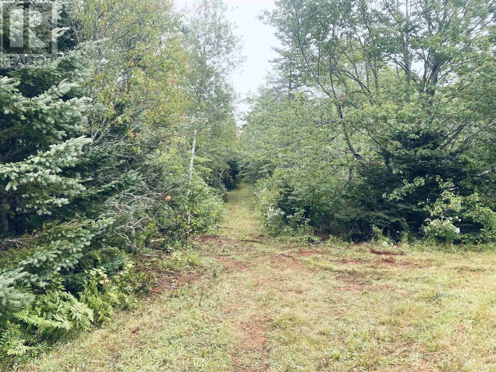 Lot Seven Mile Road, Route 4, Cardross, Prince Edward Island  C0A 1G0 - Photo 31 - 202318616