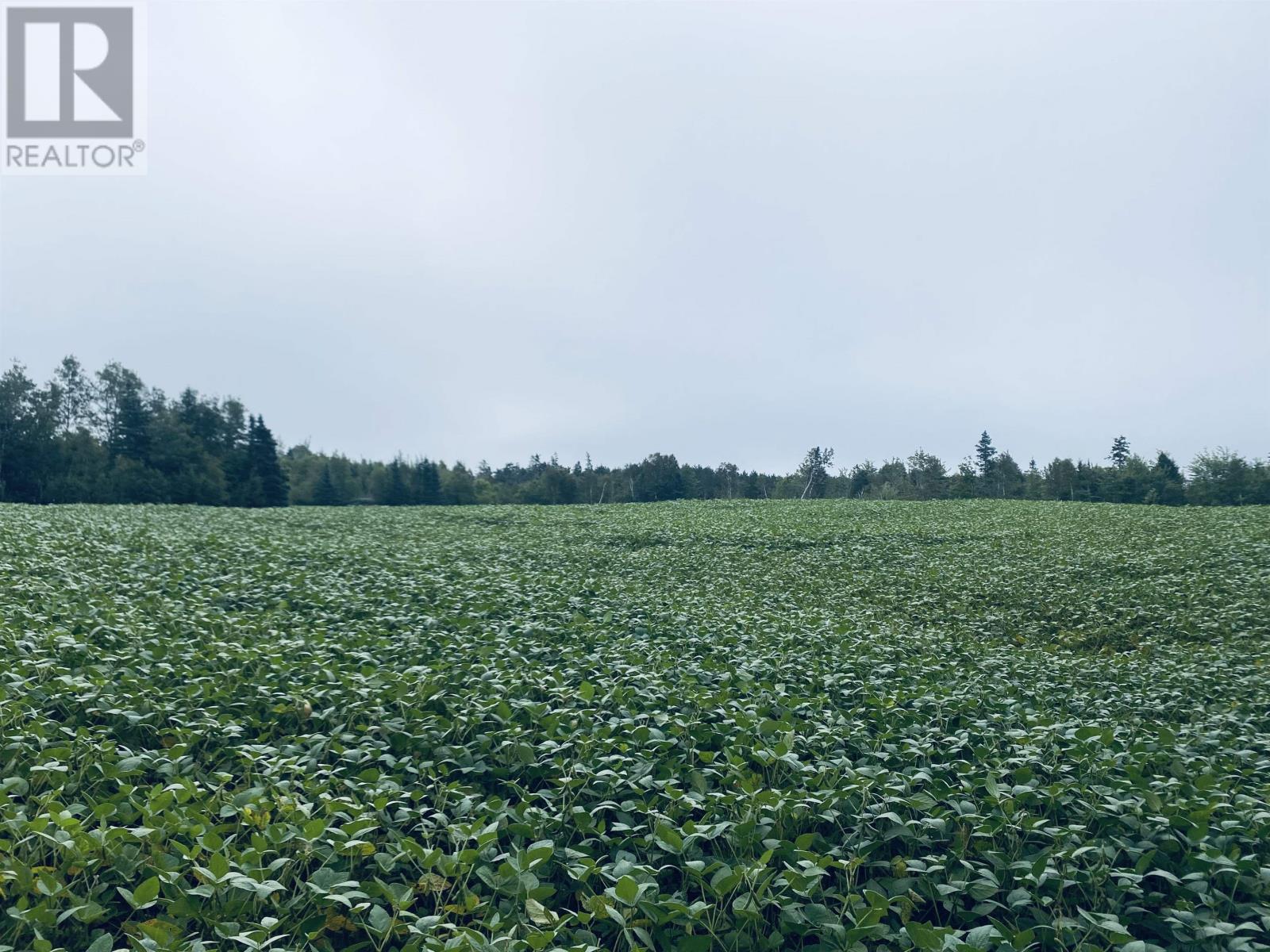 Lot Seven Mile Road, Route 4, Cardross, Prince Edward Island  C0A 1G0 - Photo 37 - 202318616