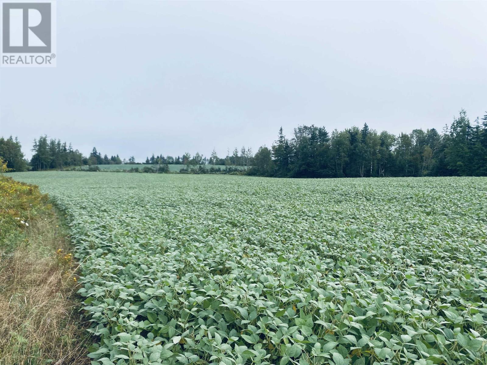 Lot Seven Mile Road, Route 4, Cardross, Prince Edward Island  C0A 1G0 - Photo 38 - 202318616