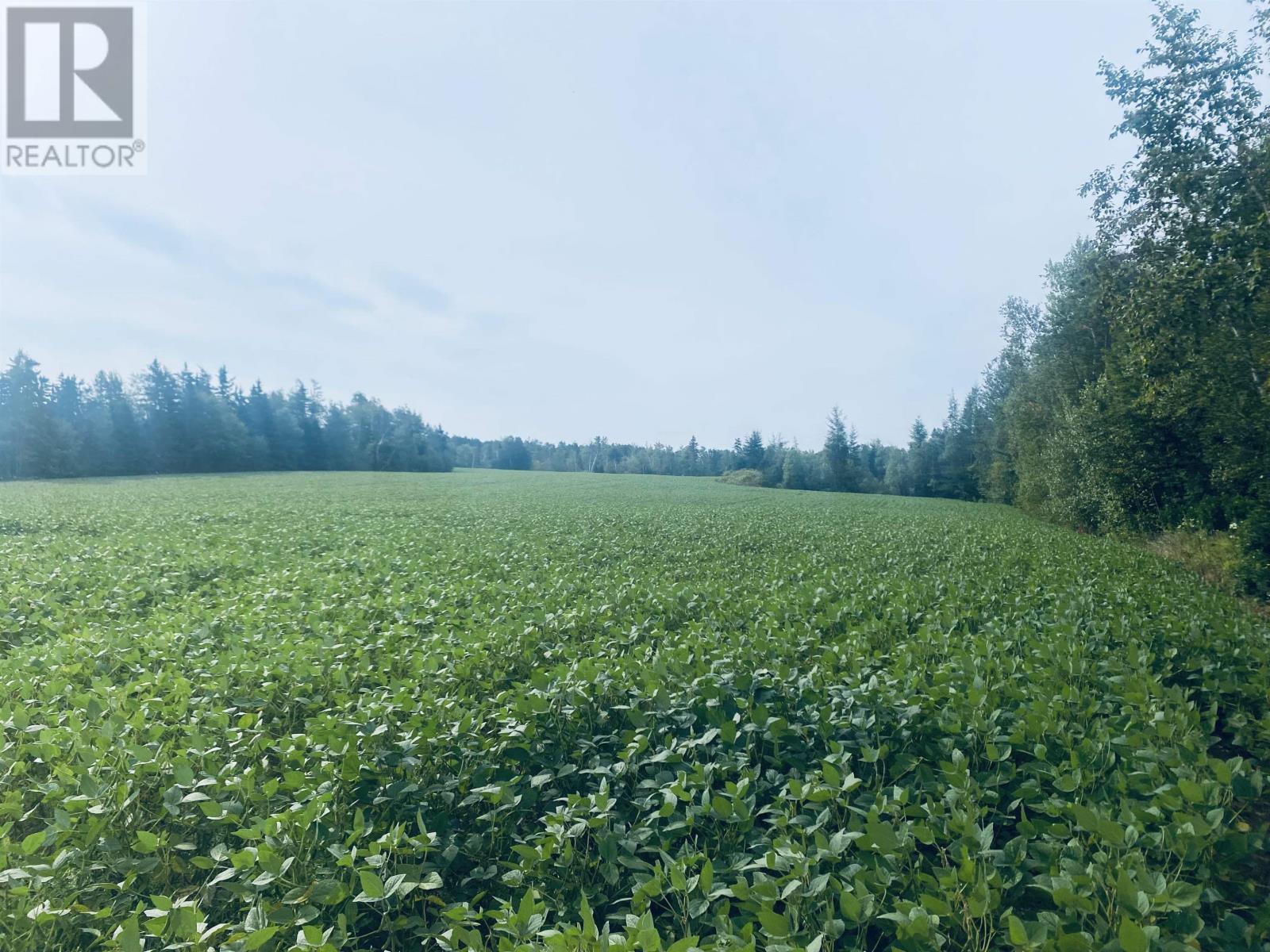 Lot Seven Mile Road, Route 4, Cardross, Prince Edward Island  C0A 1G0 - Photo 4 - 202318616