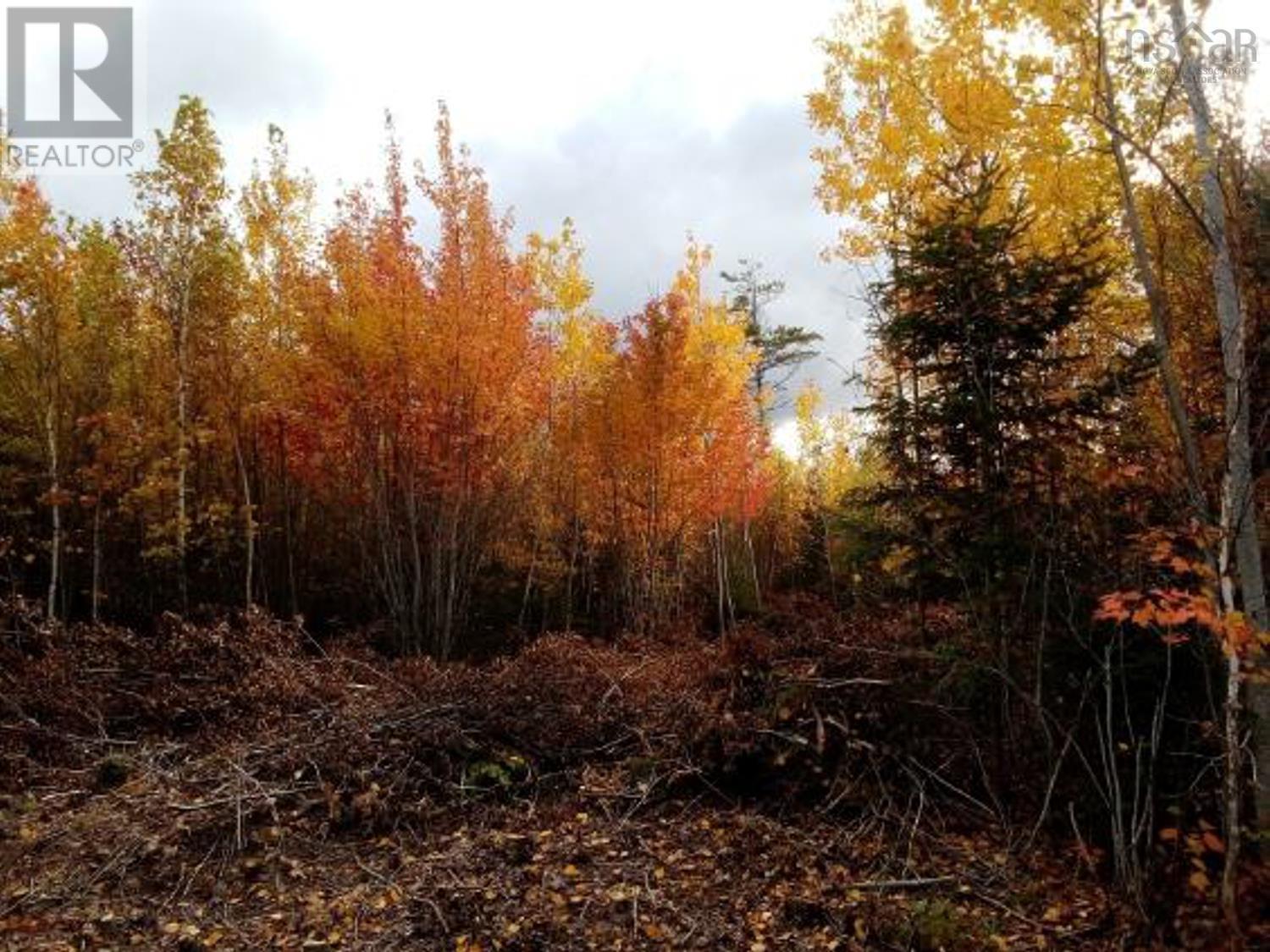 Lot Mackay Road, Welsford, Nova Scotia  B0K 1N0 - Photo 10 - 202401829