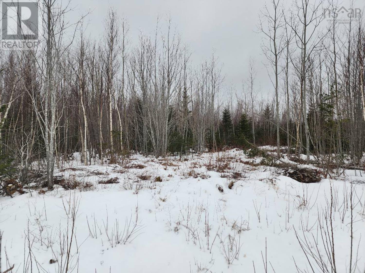 Lot Mackay Road, Welsford, Nova Scotia  B0K 1N0 - Photo 11 - 202401829
