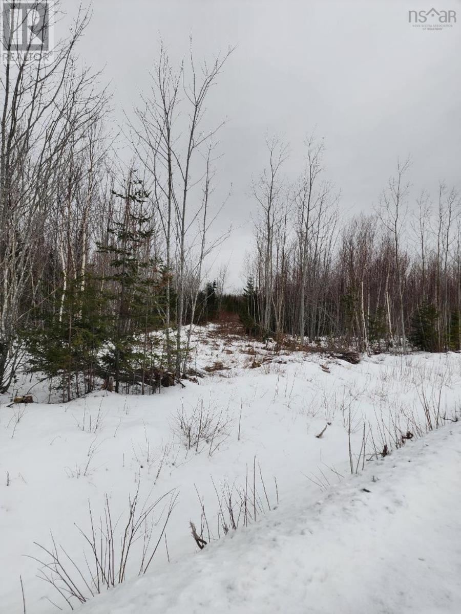 Lot Mackay Road, Welsford, Nova Scotia  B0K 1N0 - Photo 12 - 202401829