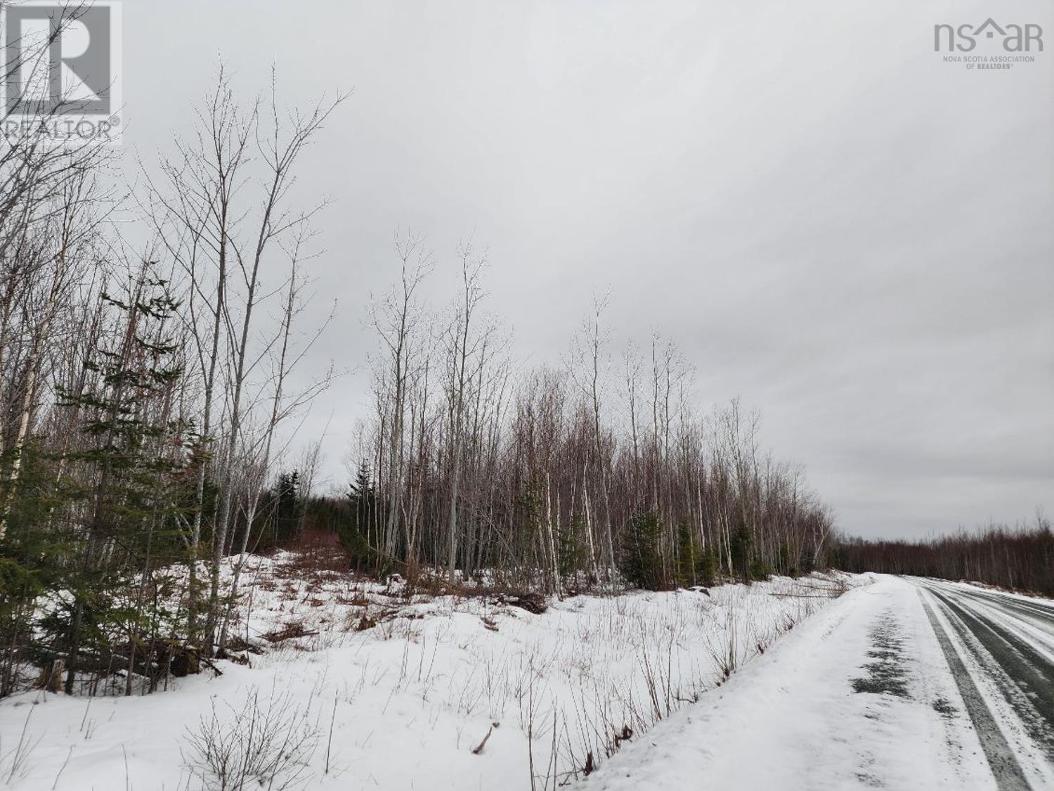 Lot Mackay Road, Welsford, Nova Scotia  B0K 1N0 - Photo 13 - 202401829