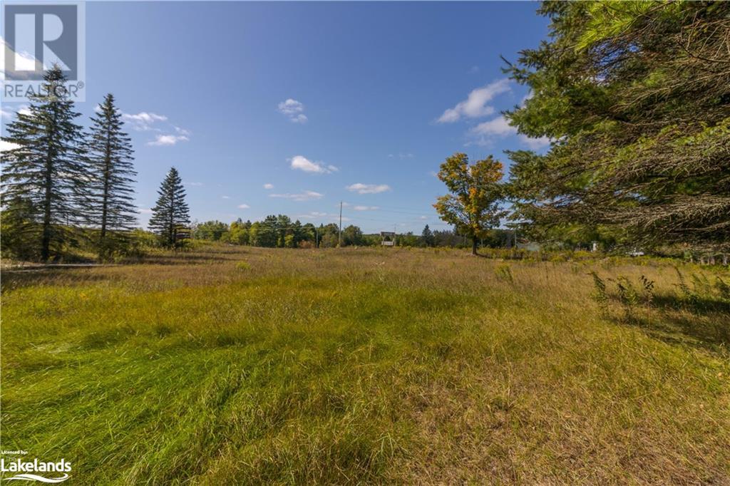 1009 County Road 21, Minden, Ontario  K0M 2K0 - Photo 34 - 40530855