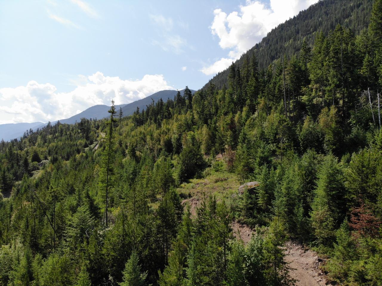 Lot 11 Lower Arrow Lake, Castlegar, British Columbia  V1N 3H3 - Photo 11 - 2474747