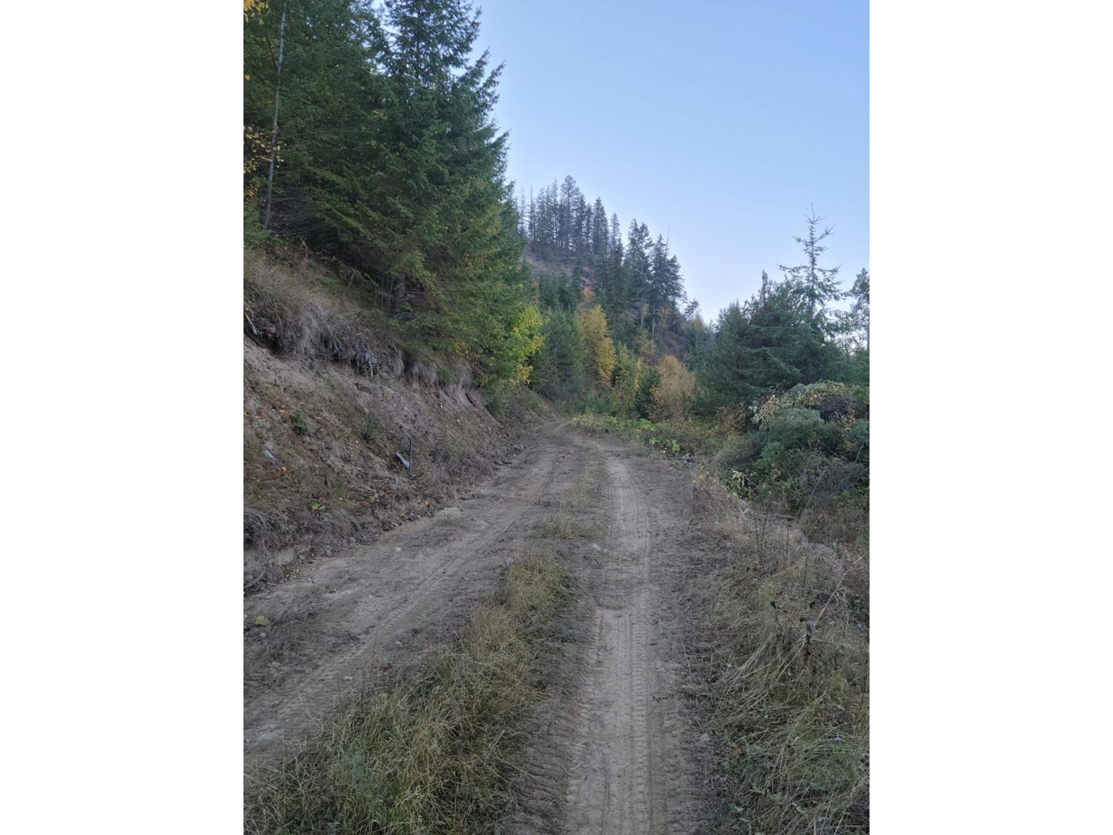 Lot 11 Lower Arrow Lake, Castlegar, British Columbia  V1N 3H3 - Photo 12 - 2474747