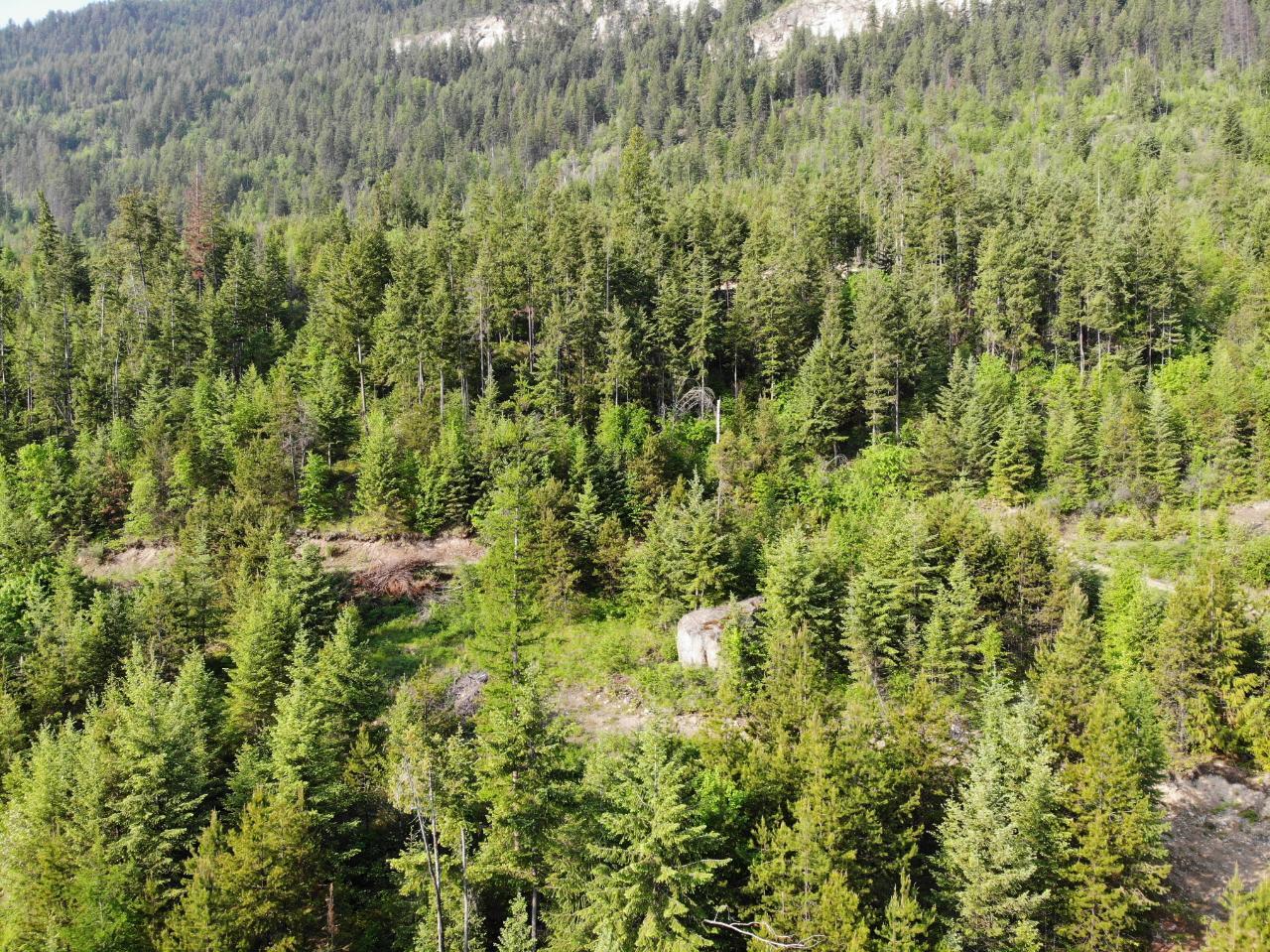 Lot 11 Lower Arrow Lake, Castlegar, British Columbia  V1N 3H3 - Photo 14 - 2474747
