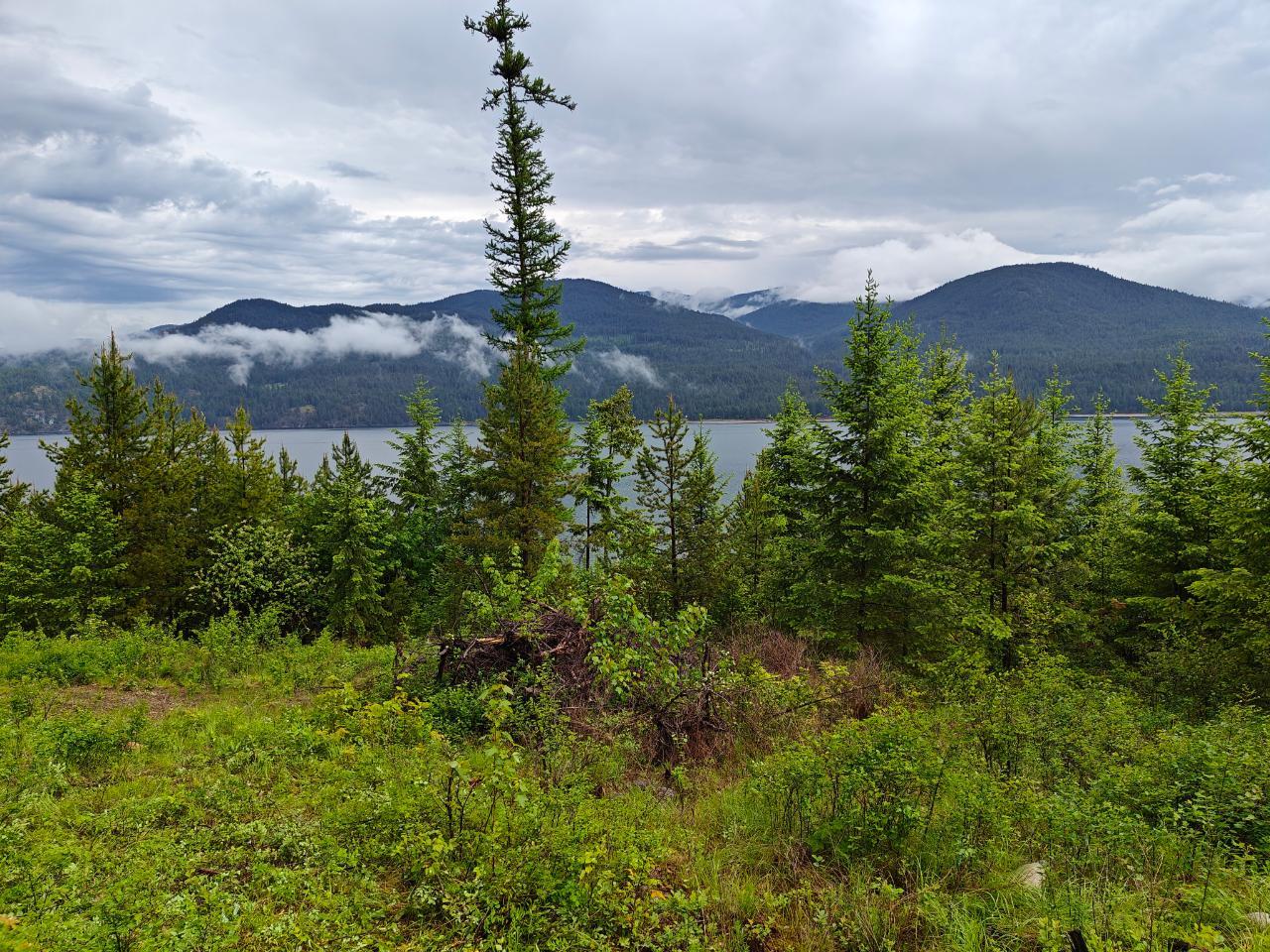 Lot 11 Lower Arrow Lake, Castlegar, British Columbia  V1N 3H3 - Photo 6 - 2474747
