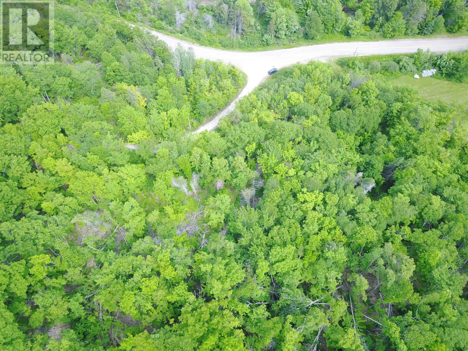 White Point Road, Smelt Brook, Nova Scotia  B0C 1G0 - Photo 4 - 202401852