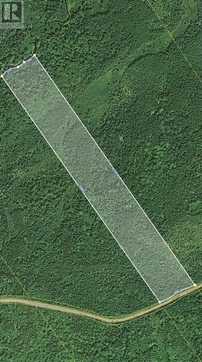 Salmon River Road, Enon, Nova Scotia  B1J 1X4 - Photo 3 - 202401855