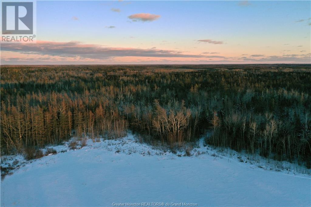 260 Little Branch Rd, Black River Bridge, New Brunswick  E1N 5N4 - Photo 6 - M157123