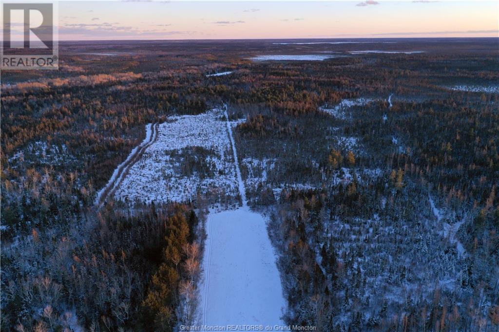 260 Little Branch Rd, Black River Bridge, New Brunswick  E1N 5N4 - Photo 5 - M157123