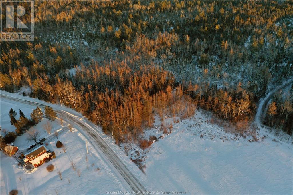 260 Little Branch Rd, Black River Bridge, New Brunswick  E1N 5N4 - Photo 3 - M157123