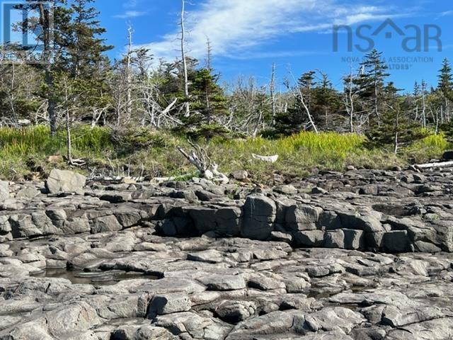 Lot 3 Broad Cove Road, Culloden, Nova Scotia  B0V 1A0 - Photo 9 - 202401877