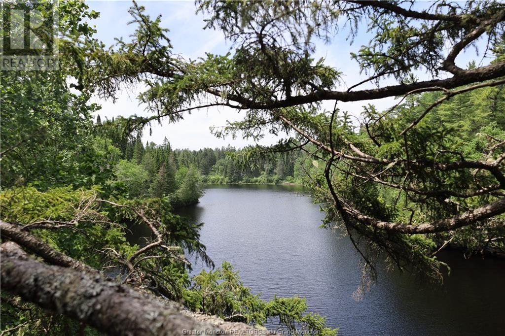 Lot 23-8 North Barnaby Rd, Barnaby River, New Brunswick  E1N 6G4 - Photo 1 - M153026
