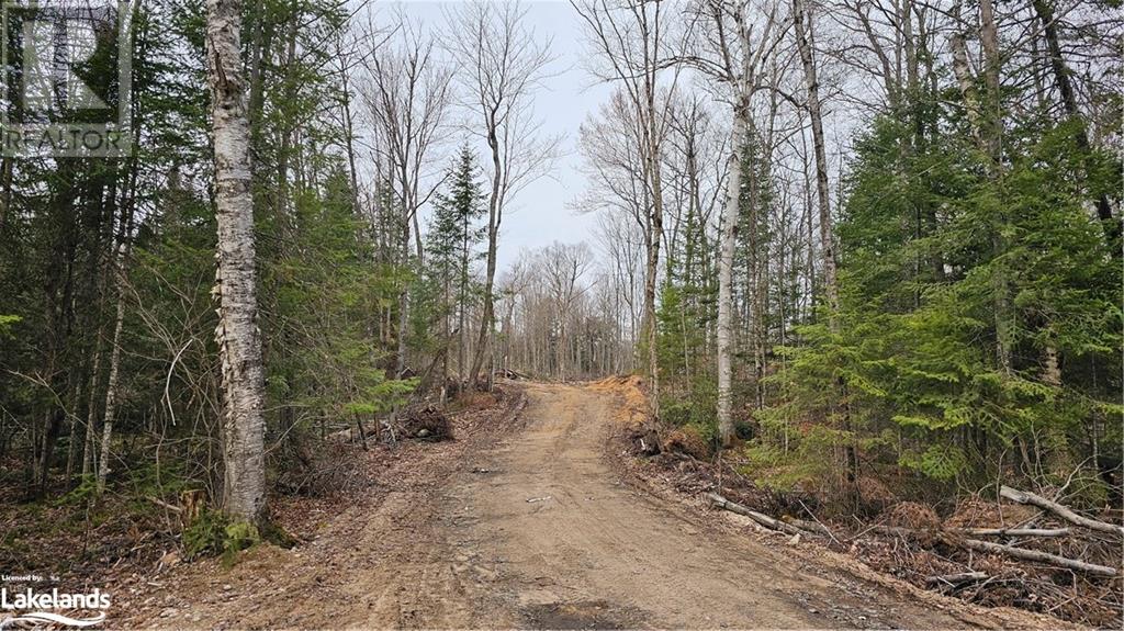 308 King Lake Road, South River, Ontario  P0A 1X0 - Photo 27 - 40534648