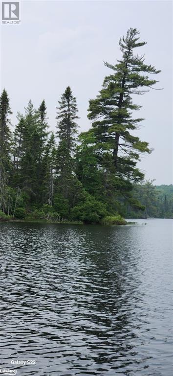 308 King Lake Road, South River, Ontario  P0A 1X0 - Photo 28 - 40534648