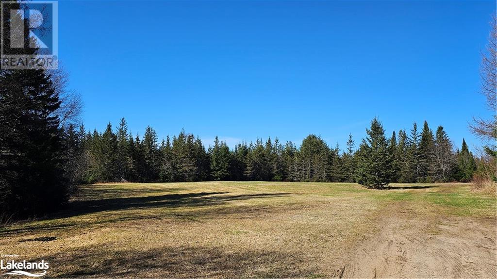 308 King Lake Road, South River, Ontario  P0A 1X0 - Photo 3 - 40534648