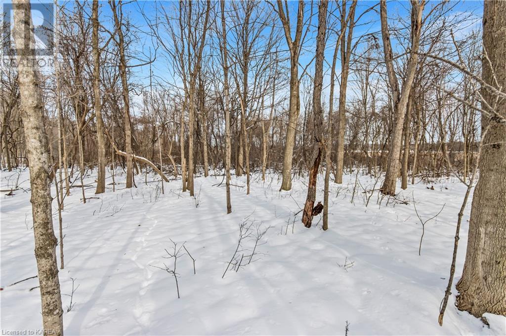 Lot 53 Linea Street, Inverary, Ontario  K0H 1X0 - Photo 30 - 40528458