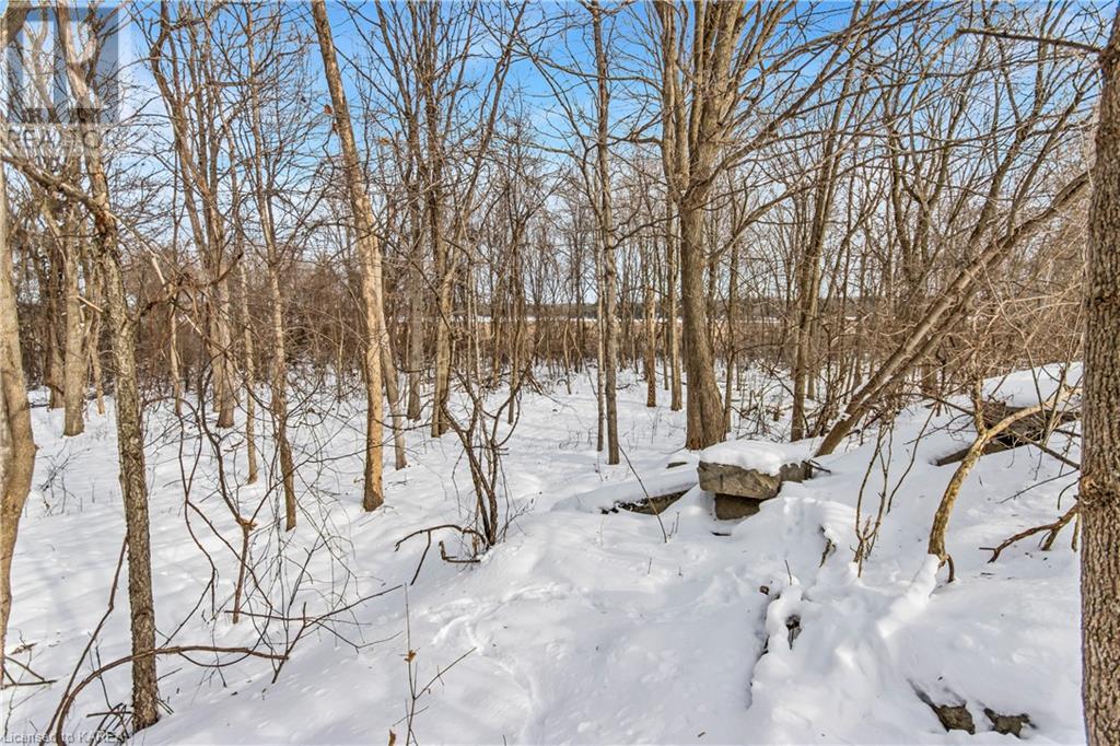 Lot 53 Linea Street, Inverary, Ontario  K0H 1X0 - Photo 27 - 40528458