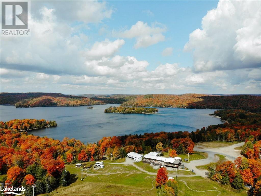 1133 Bushwolf Lake Road, Haliburton, Ontario  K0M 1S0 - Photo 19 - 40533750