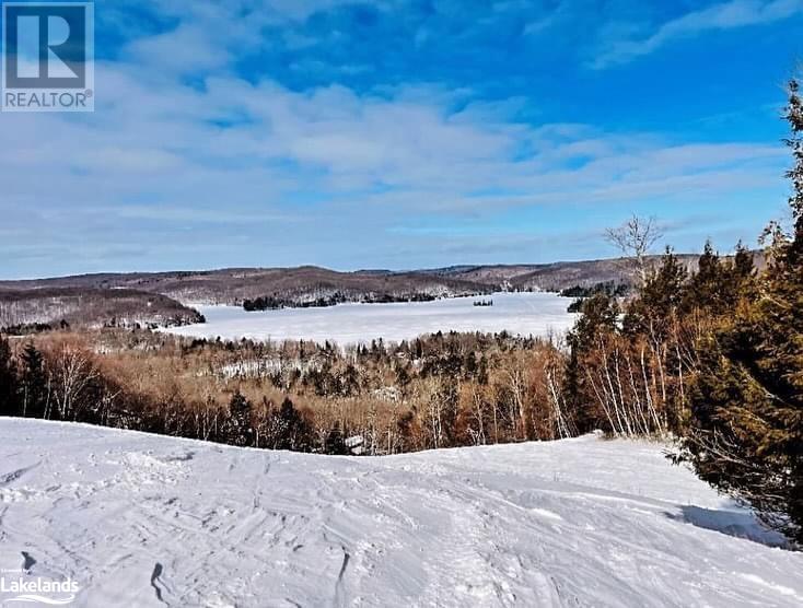 1133 Bushwolf Lake Road, Haliburton, Ontario  K0M 1S0 - Photo 23 - 40533750