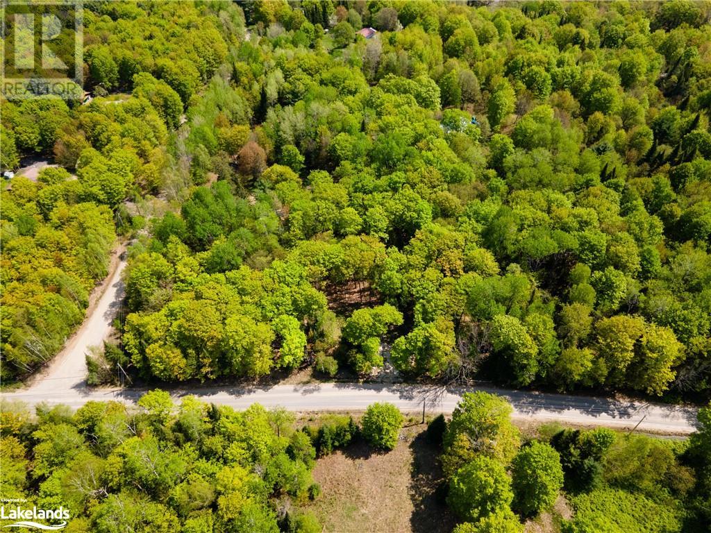 1133 Bushwolf Lake Road, Haliburton, Ontario  K0M 1S0 - Photo 3 - 40533750