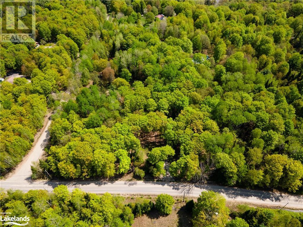 1133 Bushwolf Lake Road, Haliburton, Ontario  K0M 1S0 - Photo 4 - 40533750