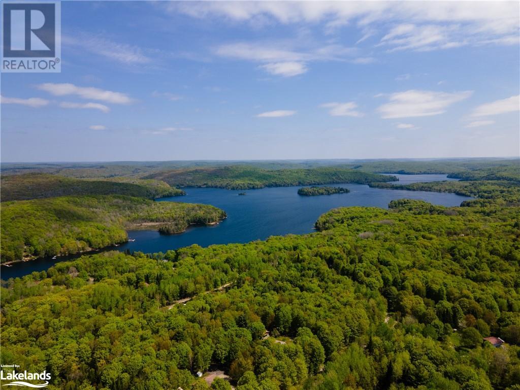1133 Bushwolf Lake Road, Haliburton, Ontario  K0M 1S0 - Photo 5 - 40533750