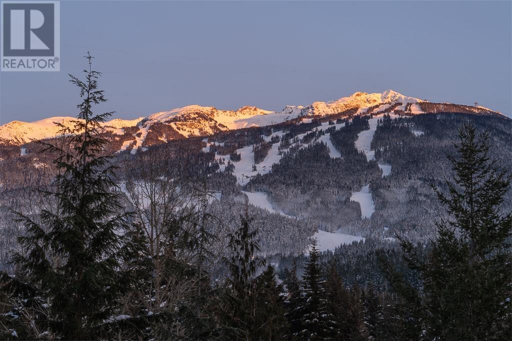 3359 Osprey Place, Whistler, British Columbia  V8E 0B8 - Photo 29 - R2811255